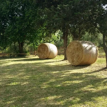 Agriturismo La Dolce Collina *