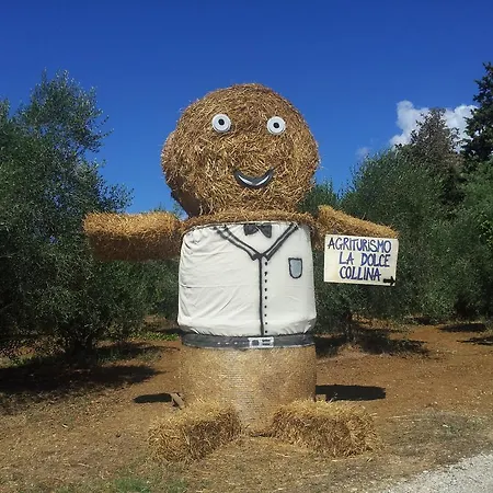 Agriturismo La Dolce Collina Alloggio per agriturismo Follonica