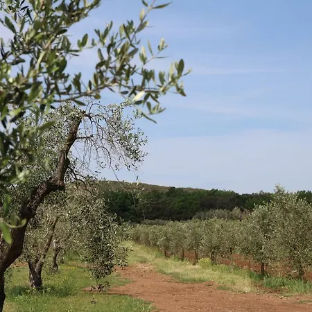 Agriturismo La Dolce Collina Follonica