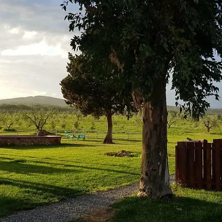 Agriturismo La Dolce Collina Alloggio per agriturismo