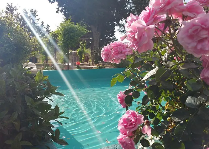 Agriturismo La Dolce Collina