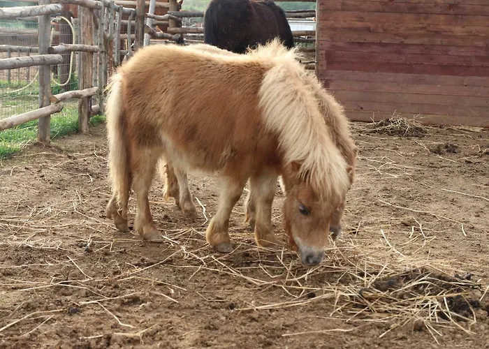 Agriturismo La Dolce Collina 폴로니카