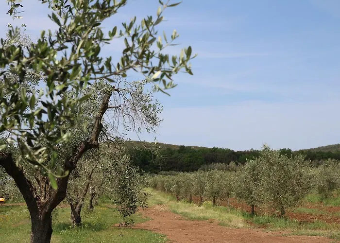 Agriturismo La Dolce Collina 폴로니카