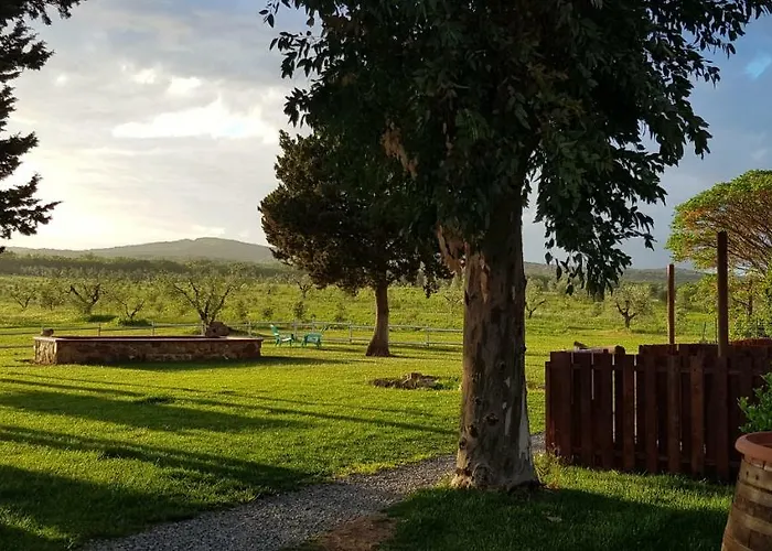 Agriturismo La Dolce Collina 팜스테이